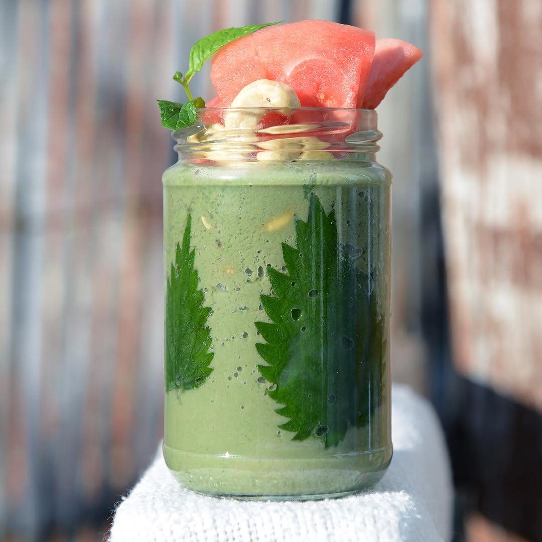 Healthy Nettle Smoothie with Superfoods