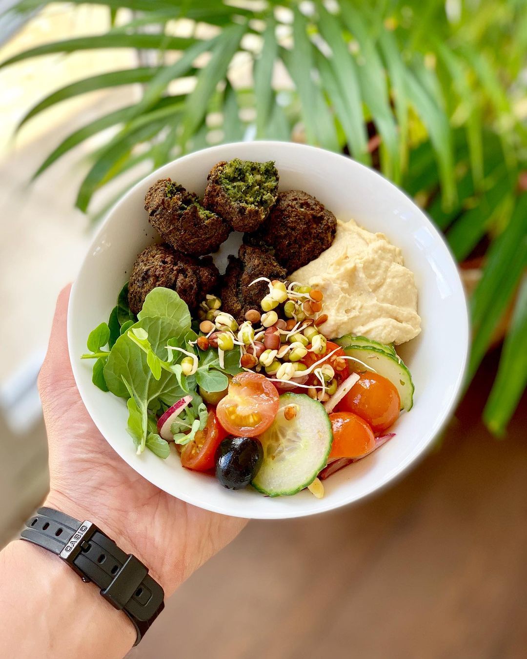 Falafels and Hummus