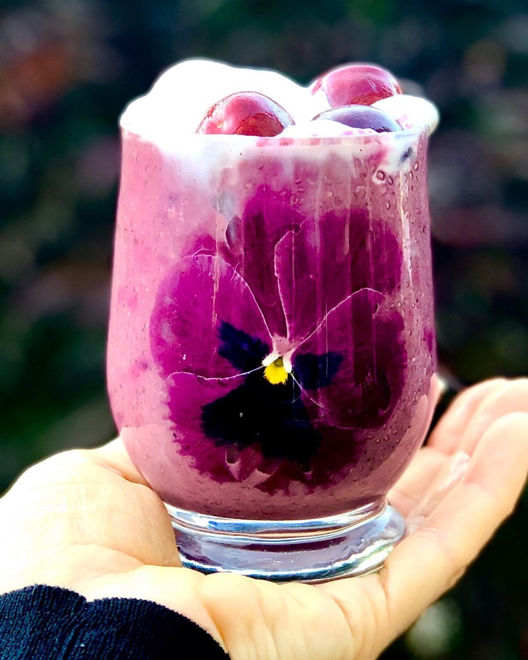 Colorful Chia Pudding with Superfood Powders