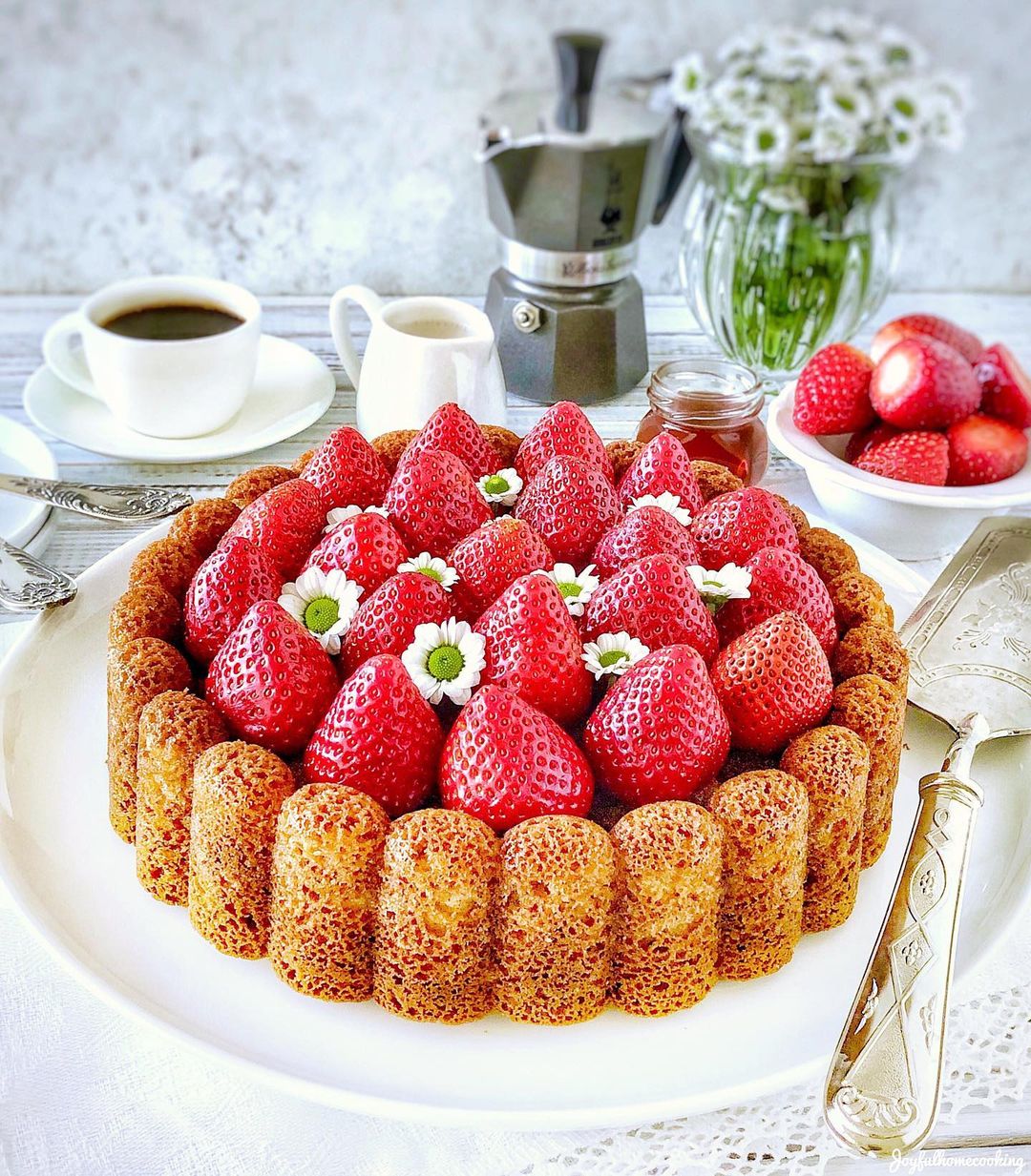 Fancy Charlotte Cake with Strawberries