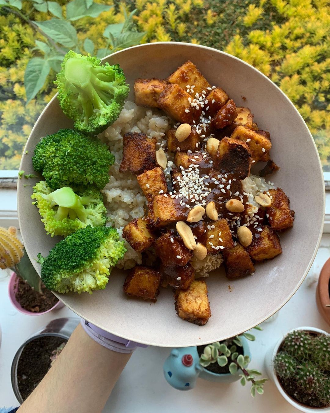 The Best Peanut Tofu Recipe