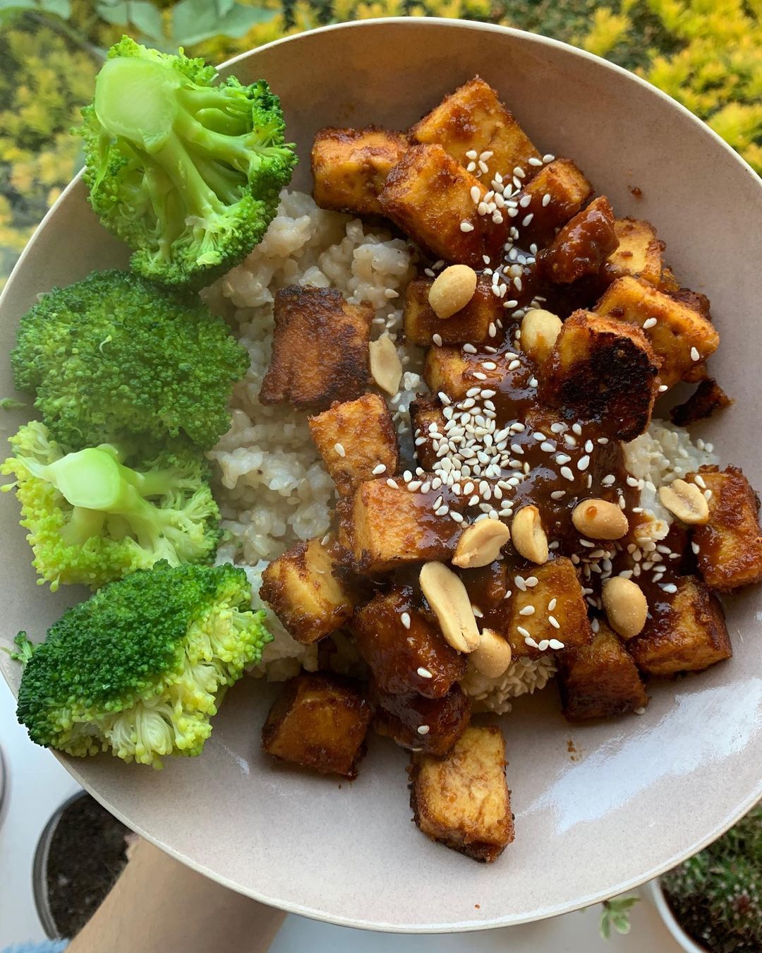 The Best Peanut Tofu Recipe