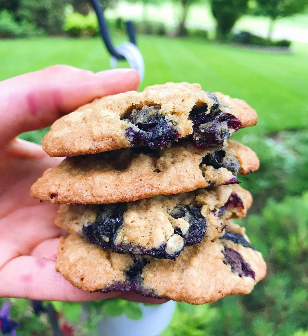 Gluten-Free Blueberry Oatmeal Cookies