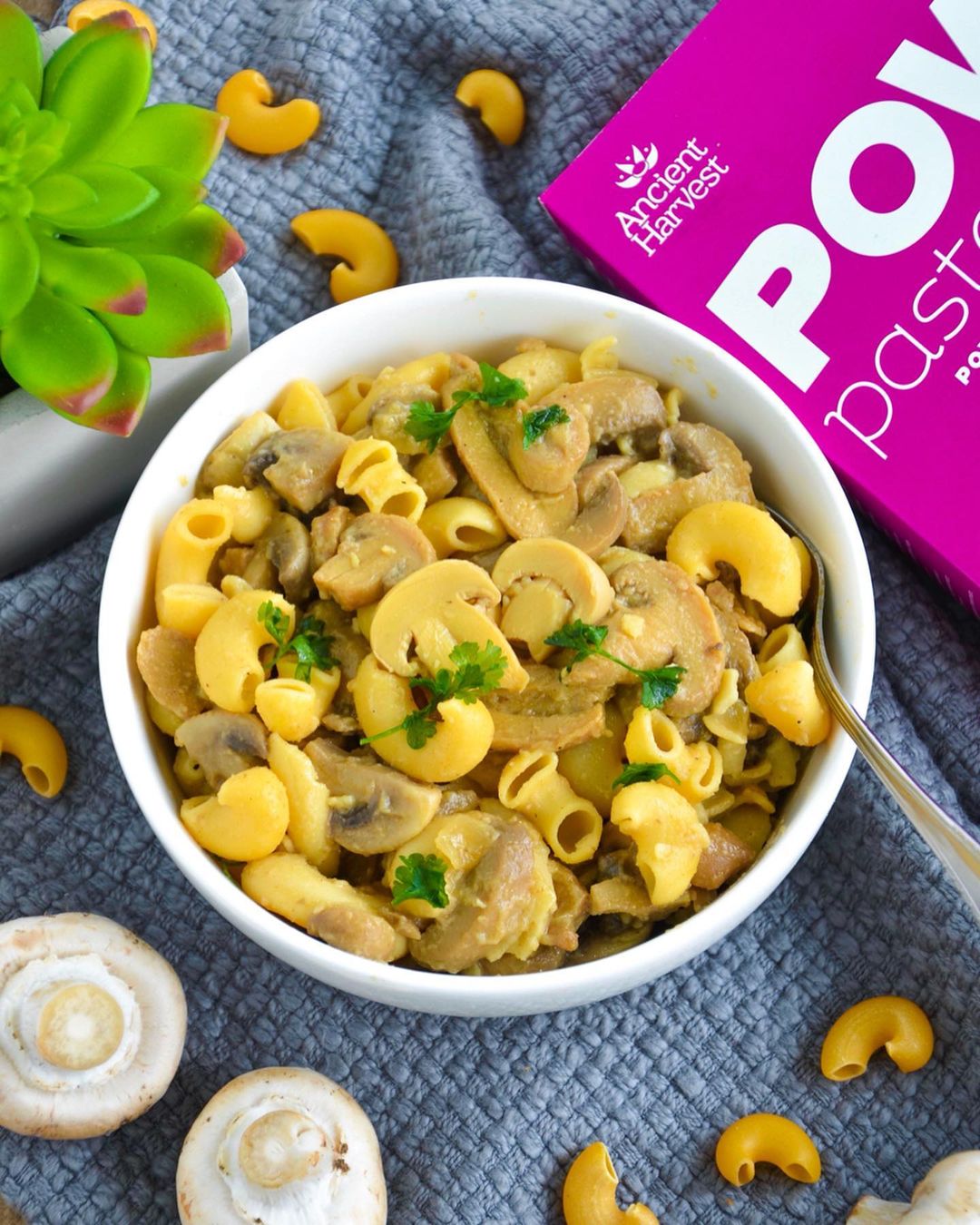 Vegan Mushroom Stroganoff with Chickpea Pasta