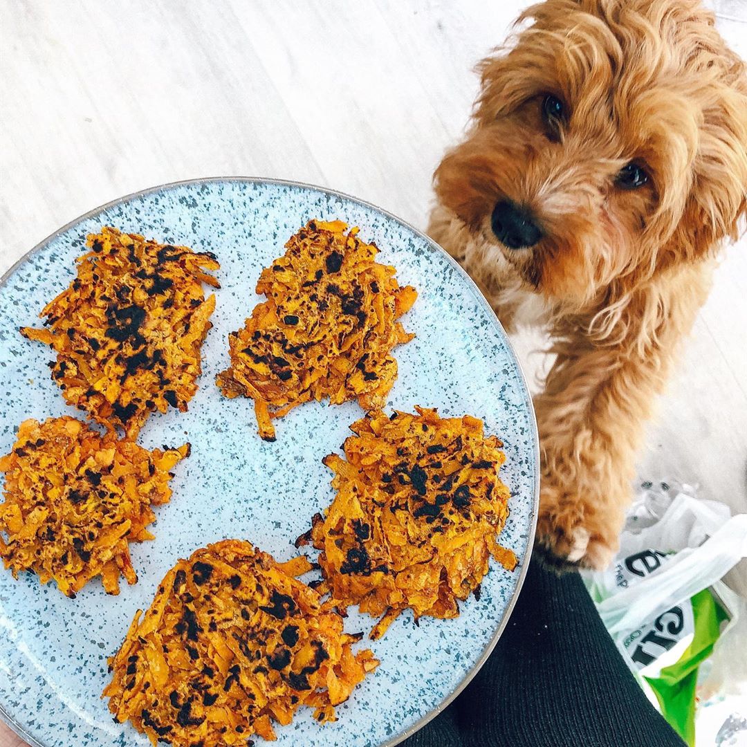 Sweet Potato Fritters