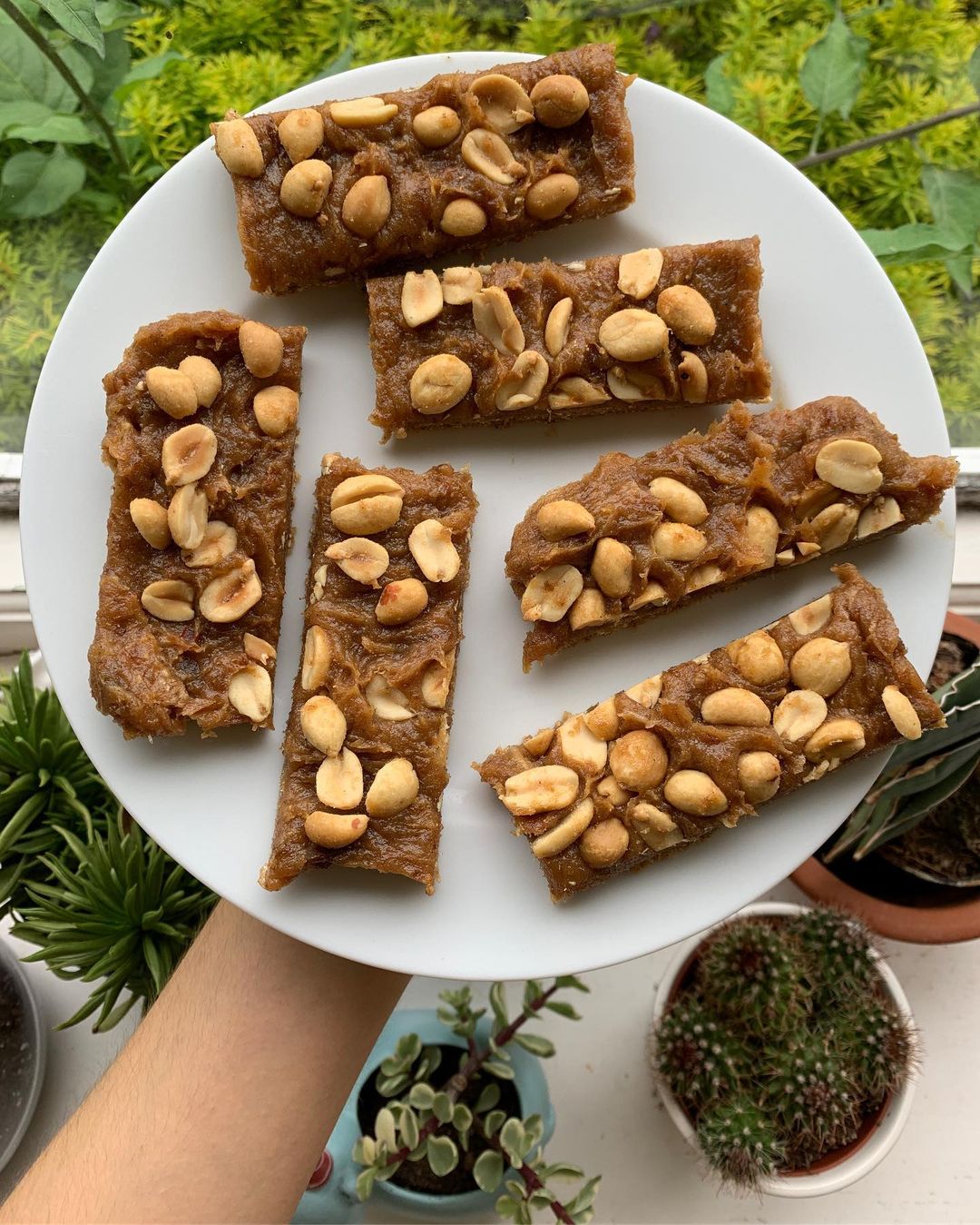 The Best Vegan Snickers