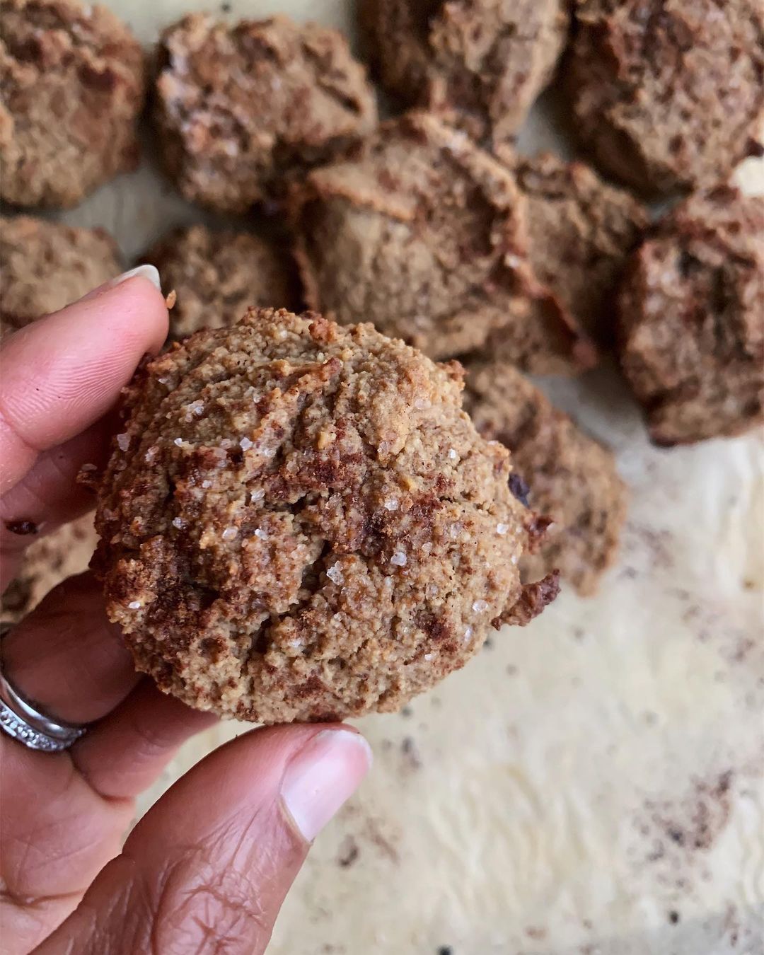 Plant-Based Gluten-Free Snickerdoodle Cookies