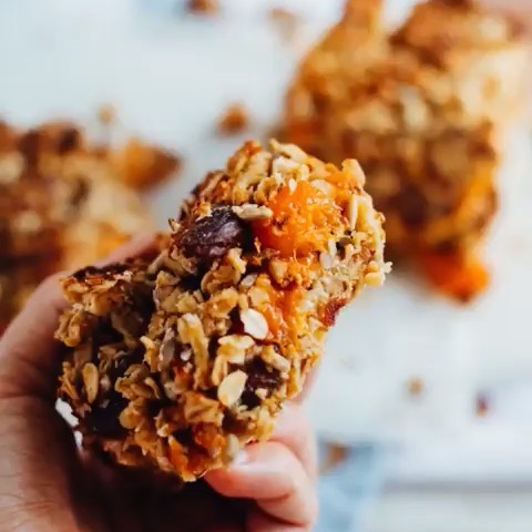 Apricot Oat Breakfast Slice