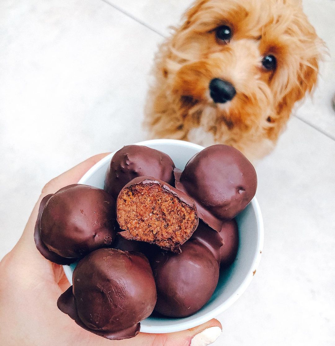 Dark Chocolate Cake Balls