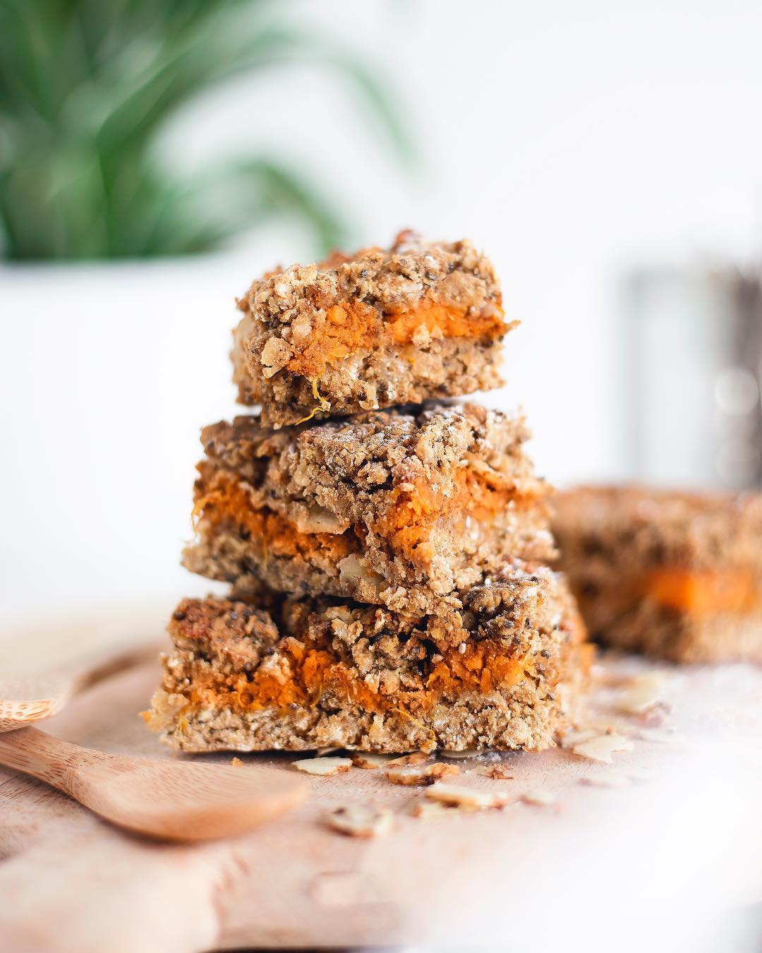Quick Oat Bars with Tiger Nuts
