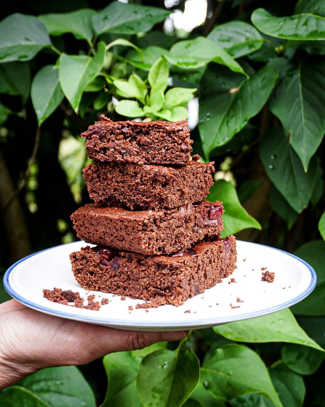 Chocolate Brownies with Chickpea Flour and Cherries