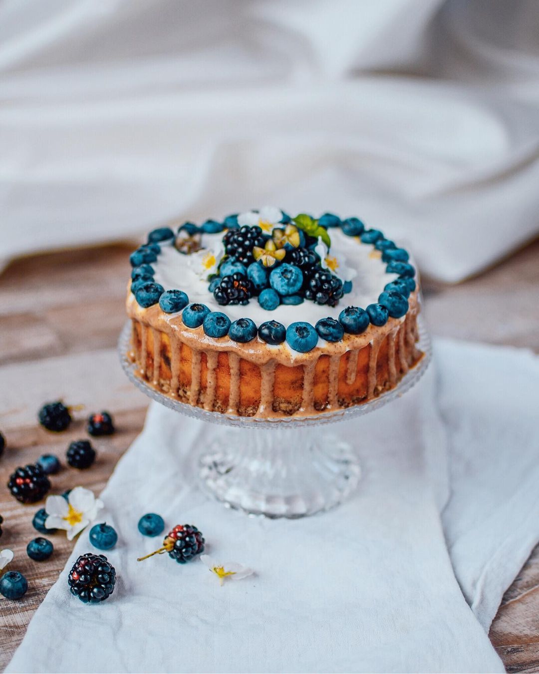 Blueberry Protein Cheesecake