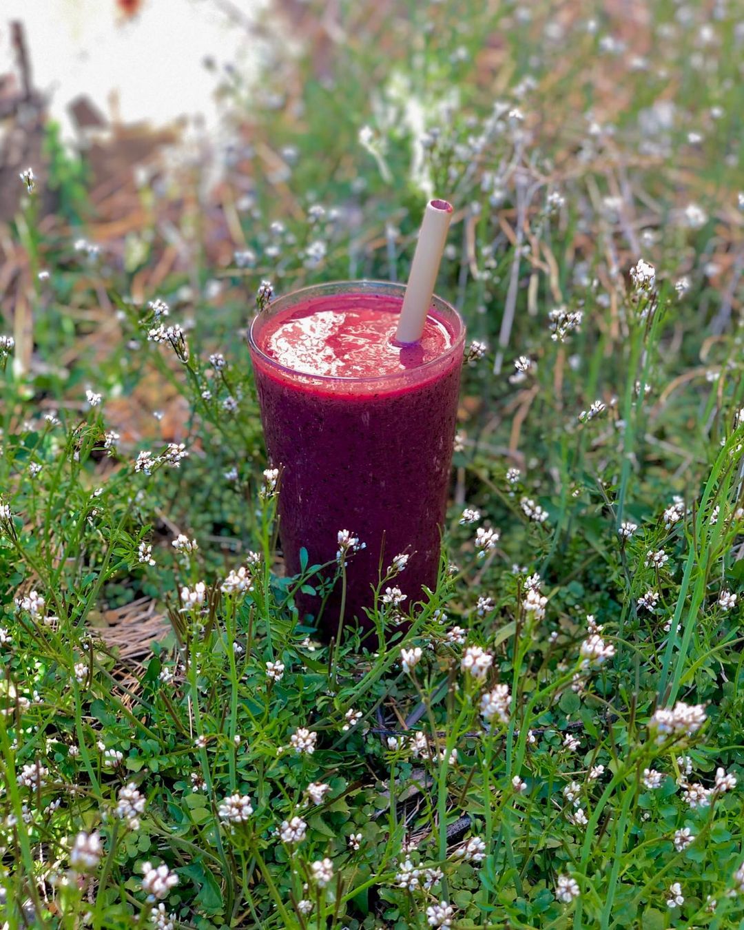Banana Blueberry Orange Smoothie