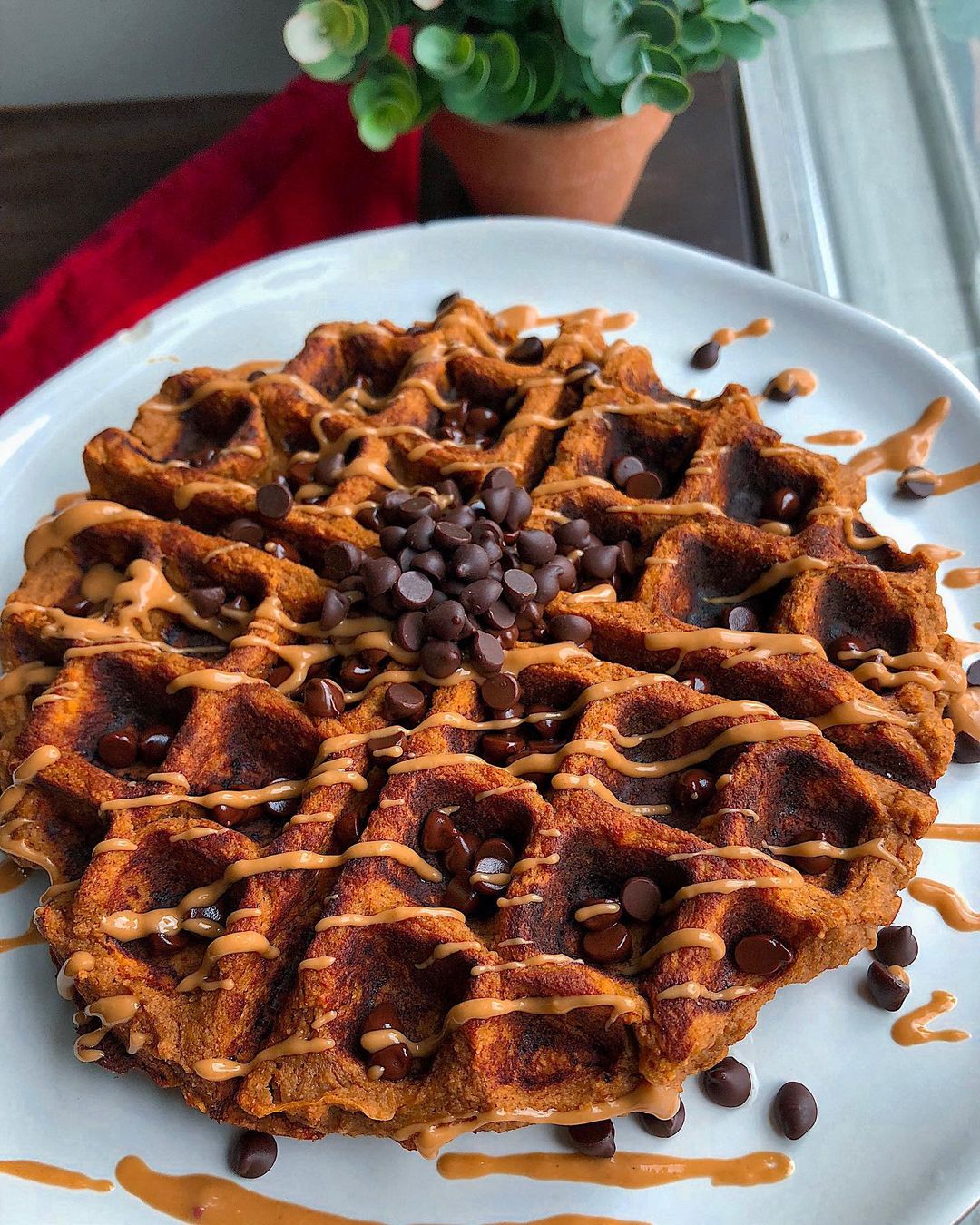 Chocolate Collagen Paleo Waffle