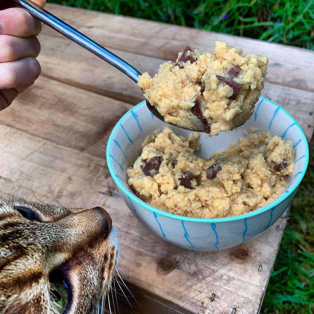 Healthy Chocolate Chip Cookie Dough