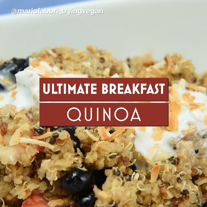Quinoa Fruit and Nut Breakfast Bowl