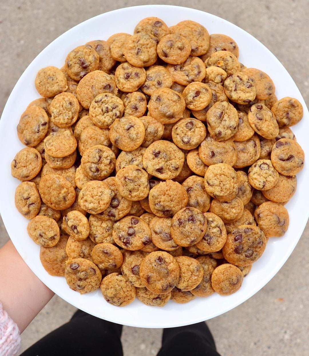 Pumpkin Spice Chocolate Chip Cookies