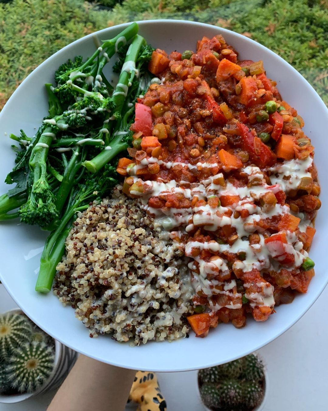 The Best Lentil Bolognese