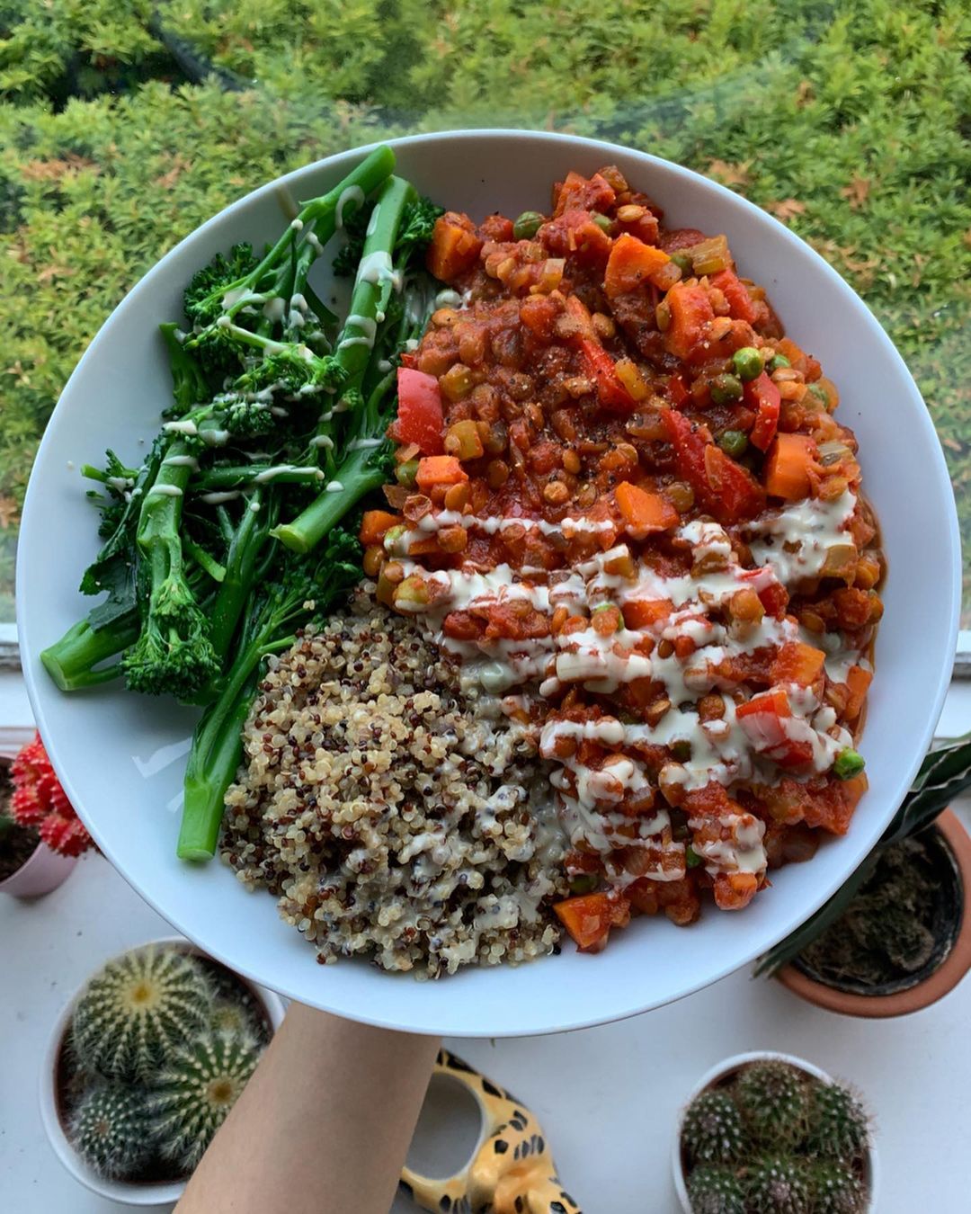 The Best Lentil Bolognese