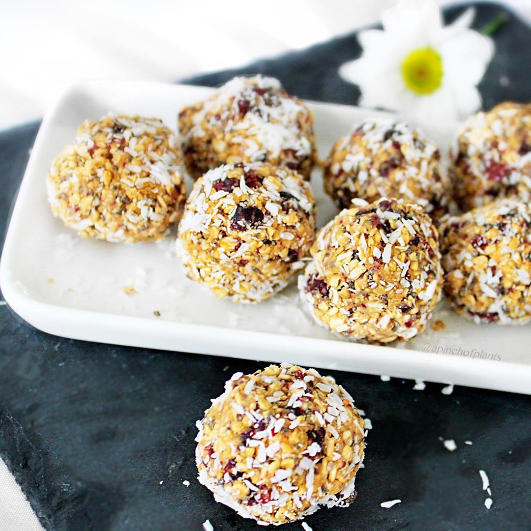 Coconut Cranberry Chia Protein Balls
