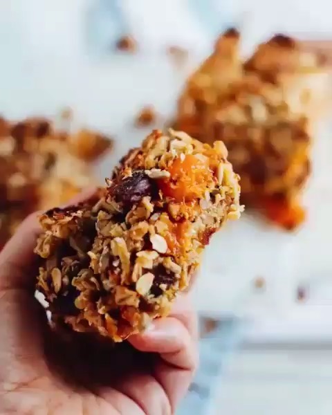 Apricot Oat Breakfast Slice
