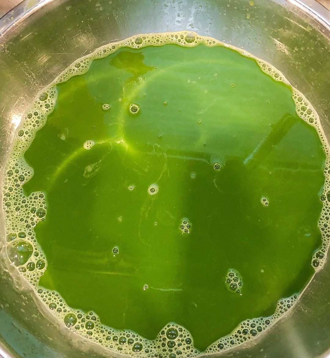 Homemade Green Juice with Fresh Veggies