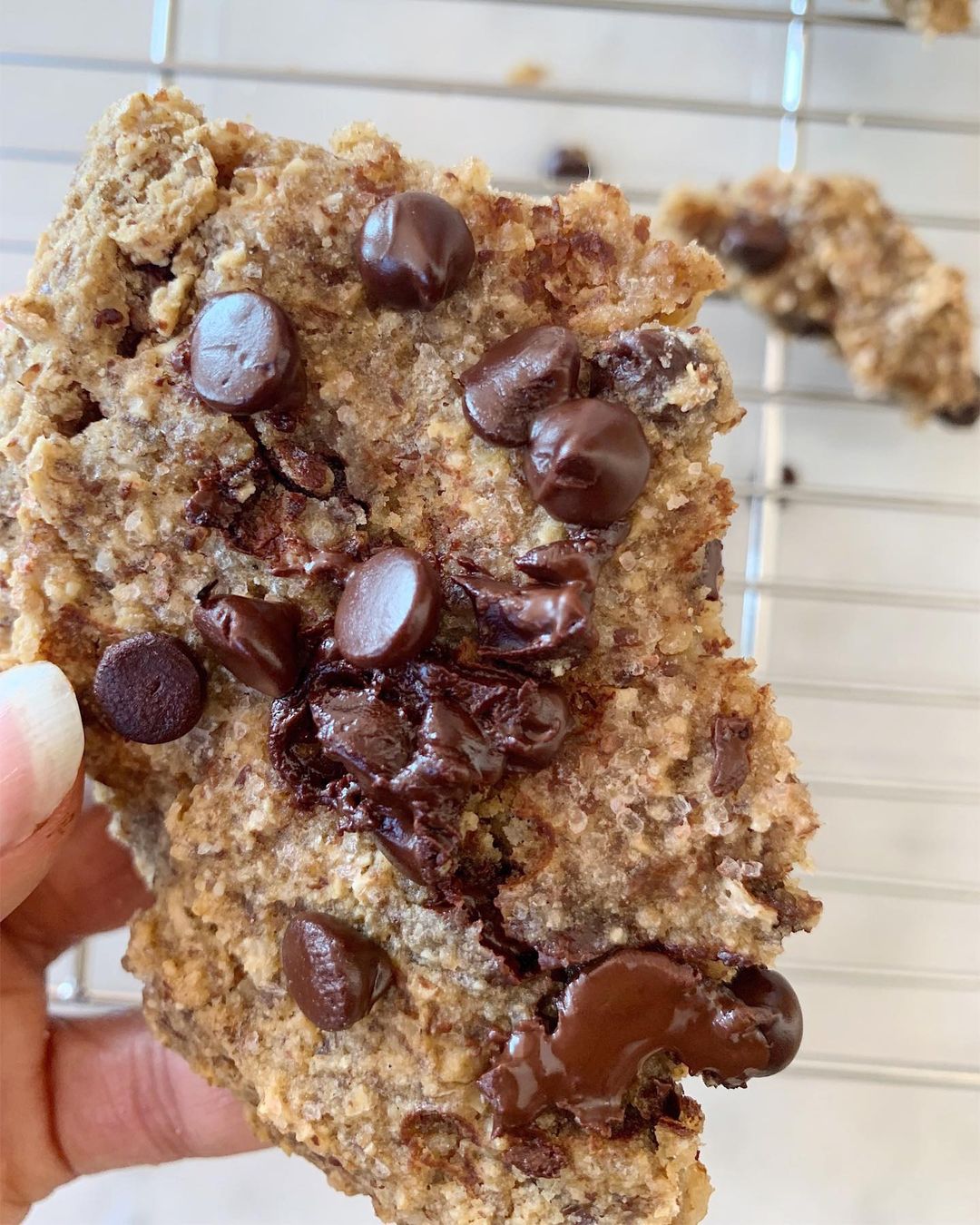 Giant Chocolate Chip Cookie