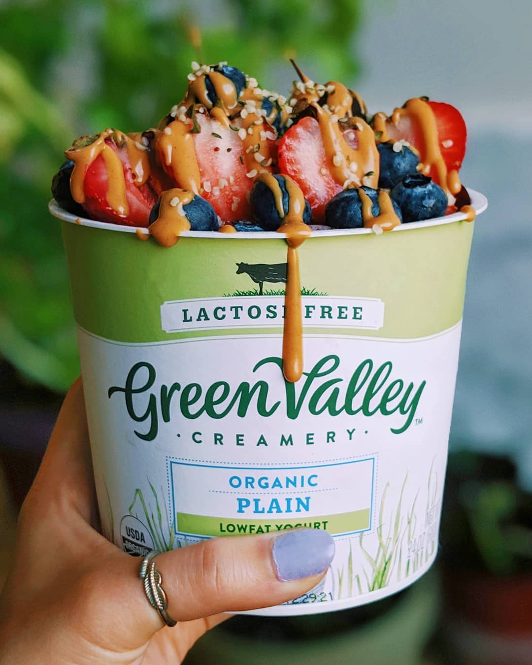 Overnight Oats on the Go