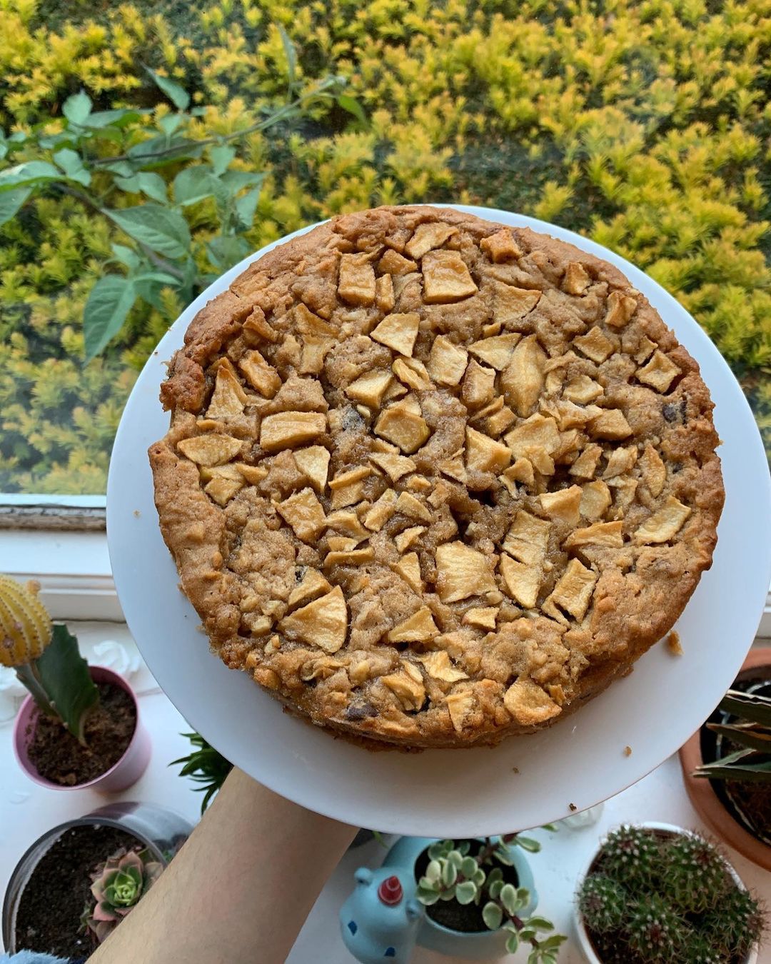 Vegan Nutty Apple Chocolate Cake