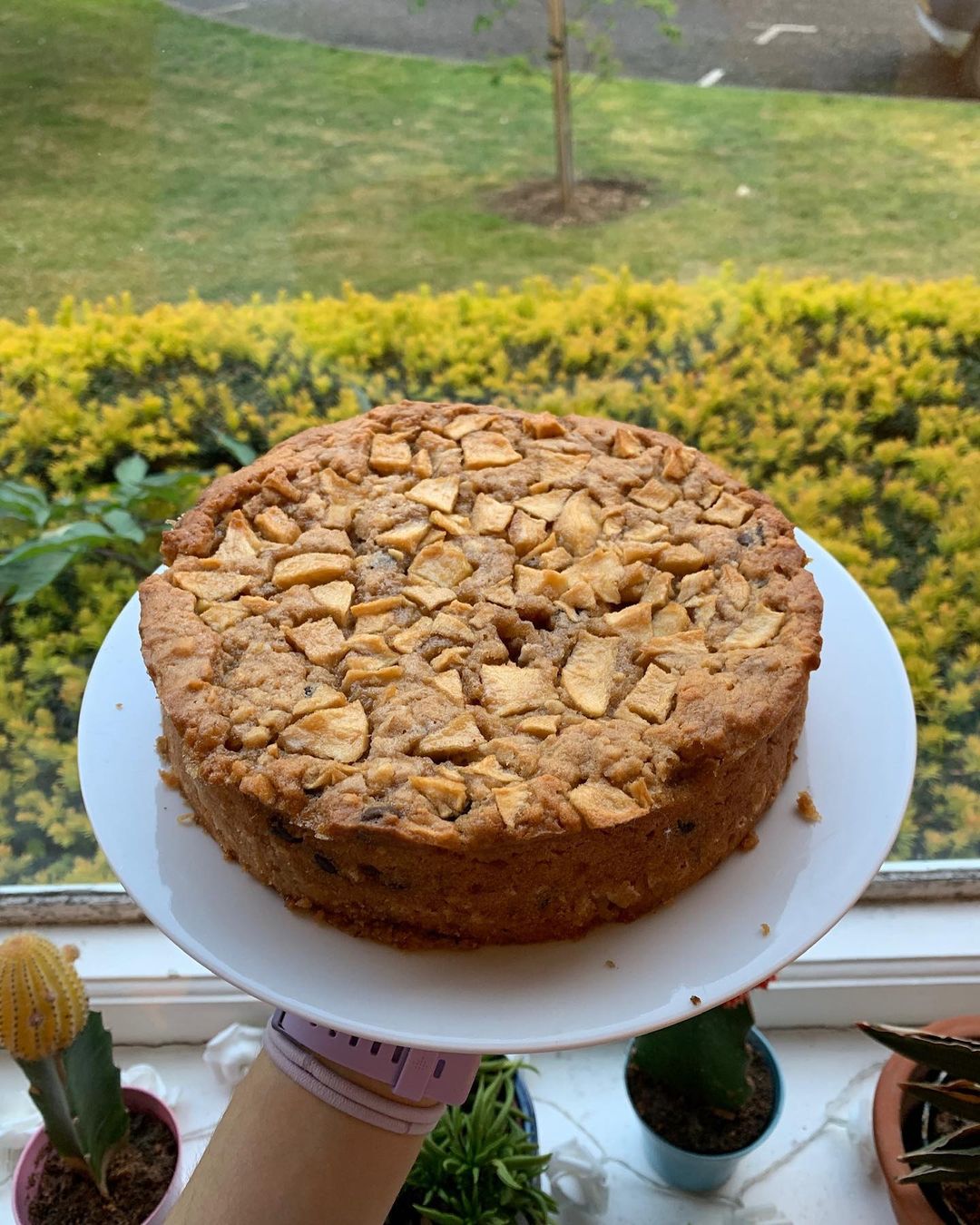 Vegan Nutty Apple Chocolate Cake
