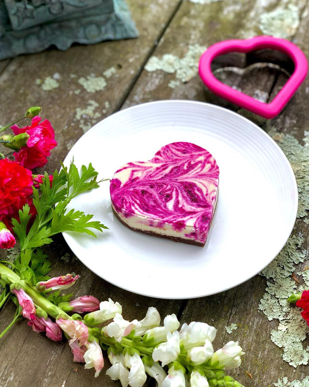 Pink Dragon Fruit Cheesecake