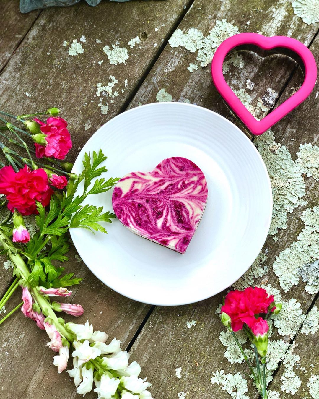Pink Dragon Fruit Cheesecake
