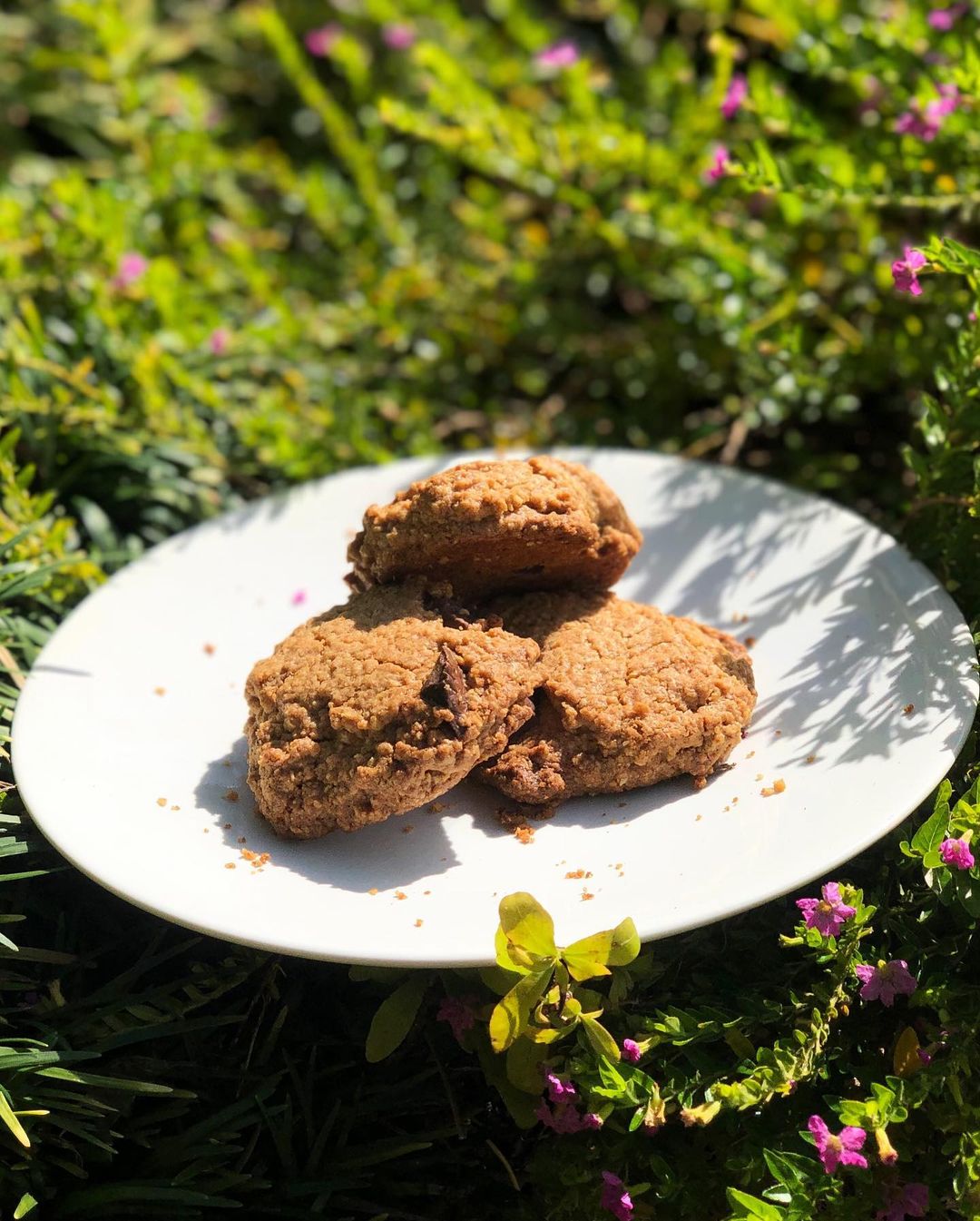 Easy Oatmeal Cookies with Chocolate Chips