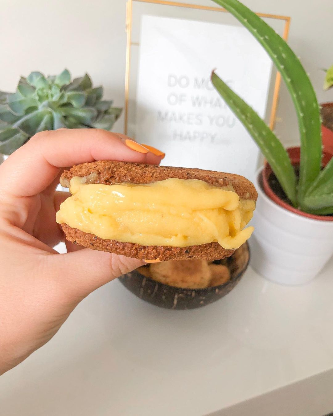 Vegan Coconut Cookies and Mango Banana Ice Cream