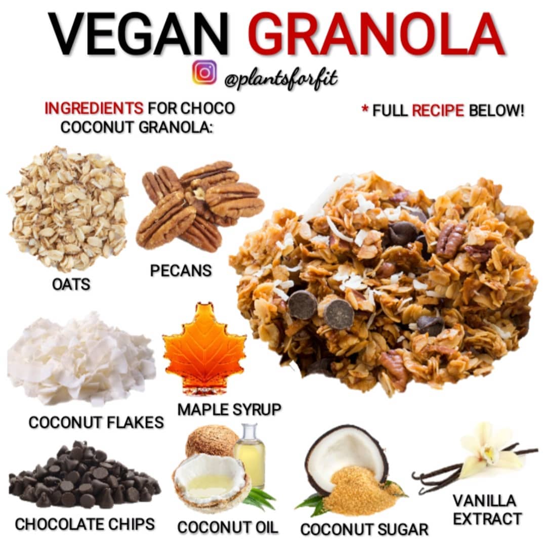 Vegan Choco Coconut Granola