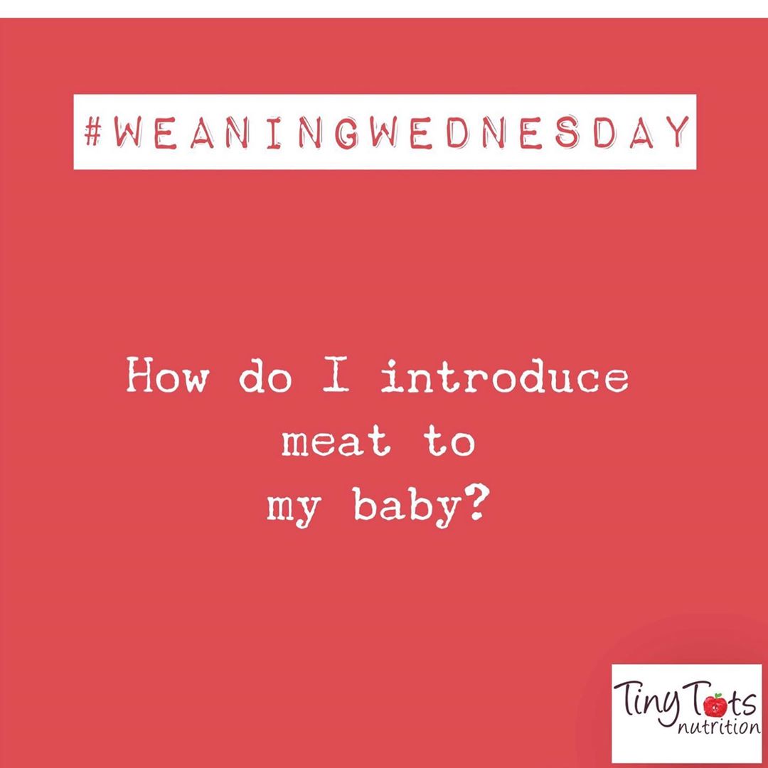 Introducing Meat to Babies