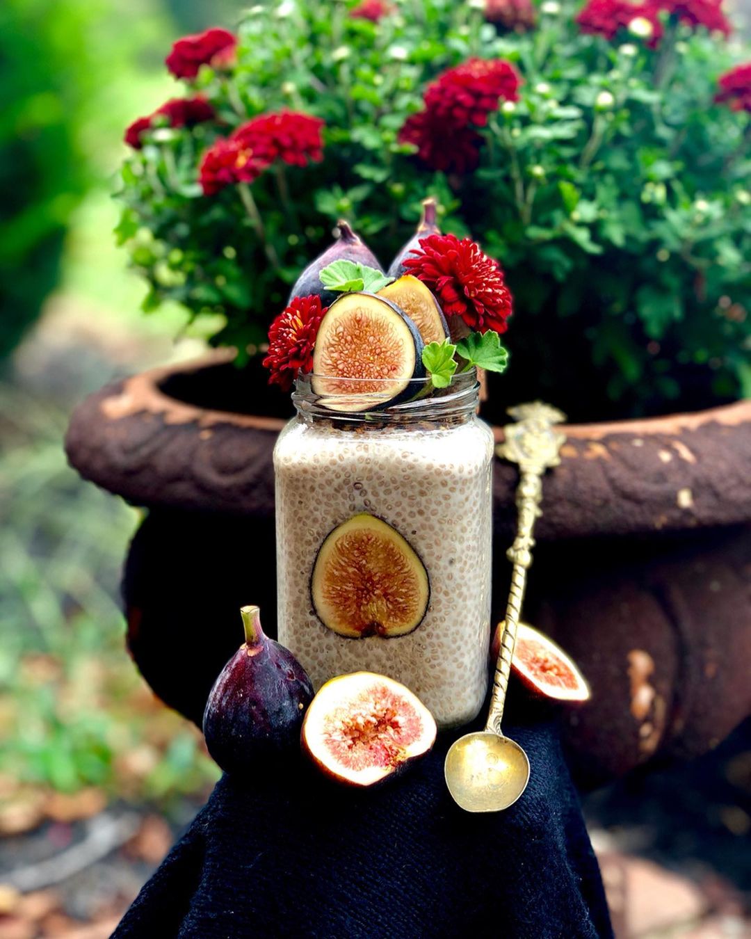 Autumn Chia Pudding with Figs and Granola