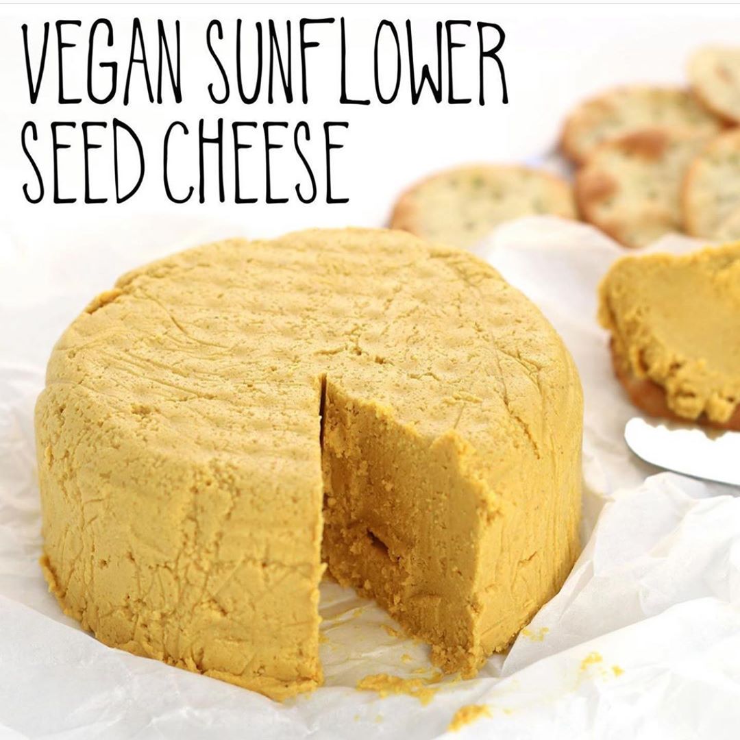 Vegan Sunflower Seed Cheese