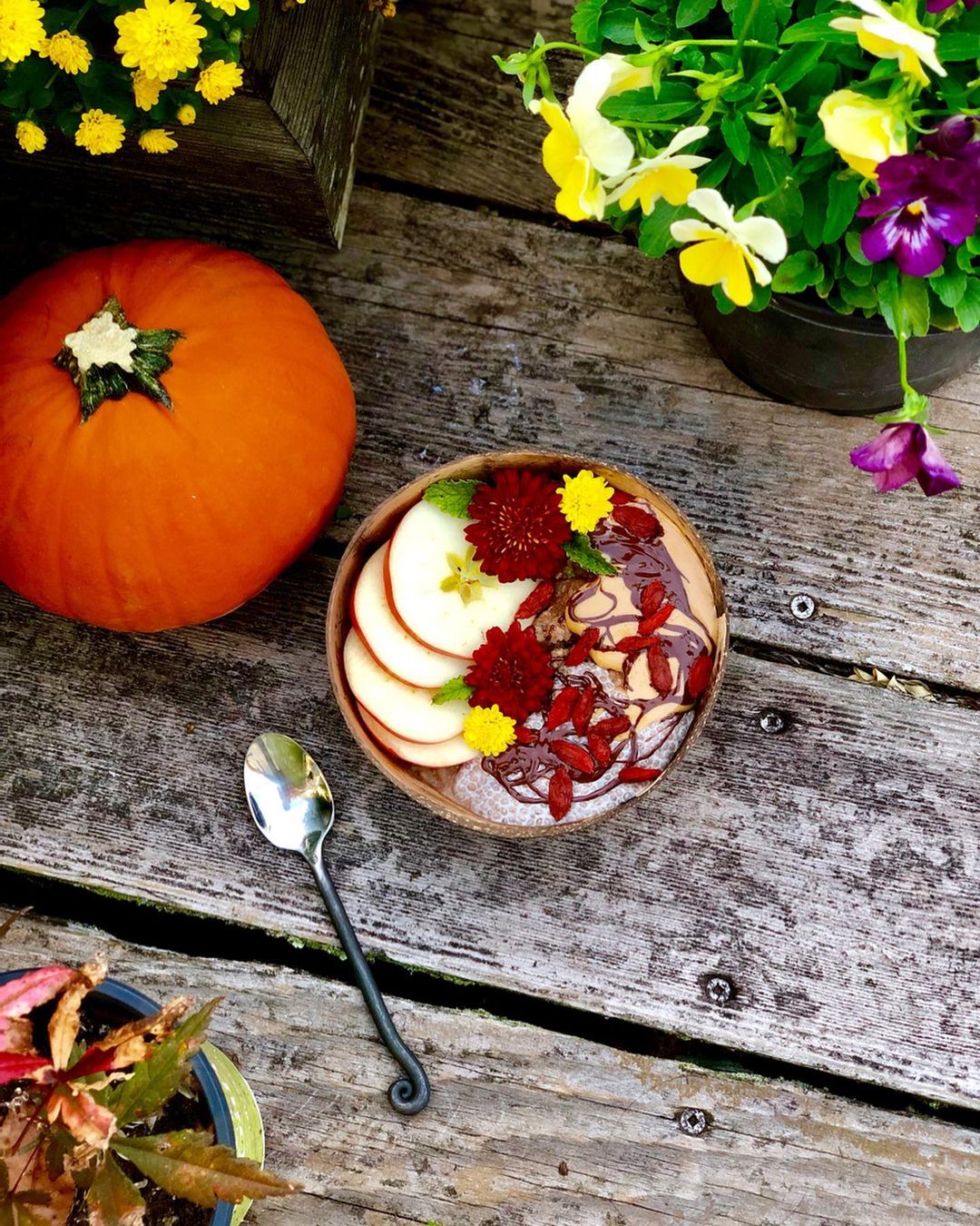 Spiced Oatmeal Breakfast Bowl