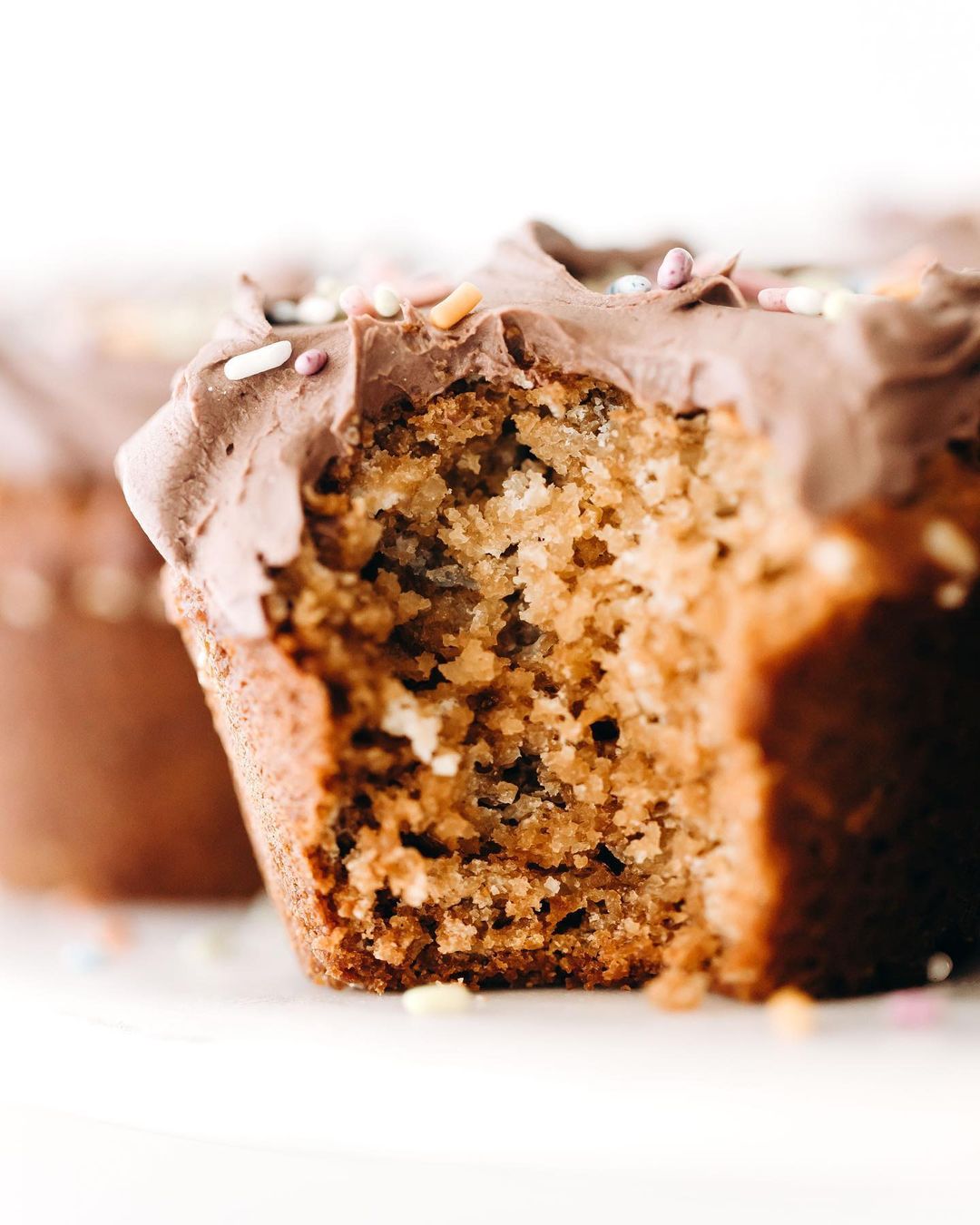 Cupcake with Frosting and Sprinkles