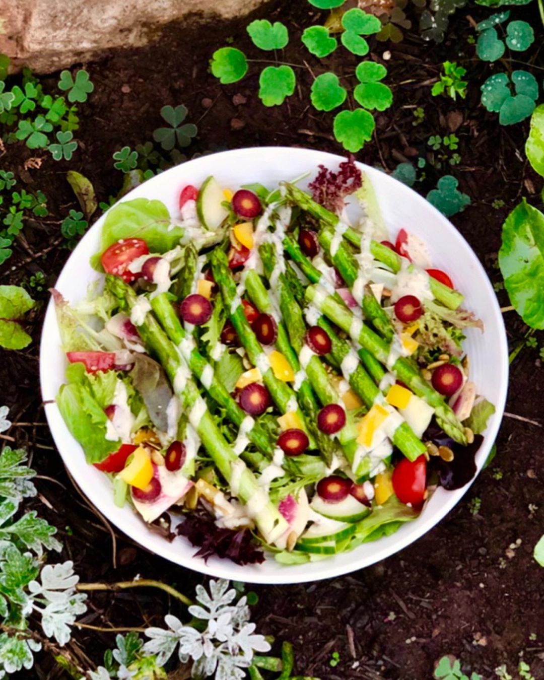 Vegan Nutrient-Rich Salad