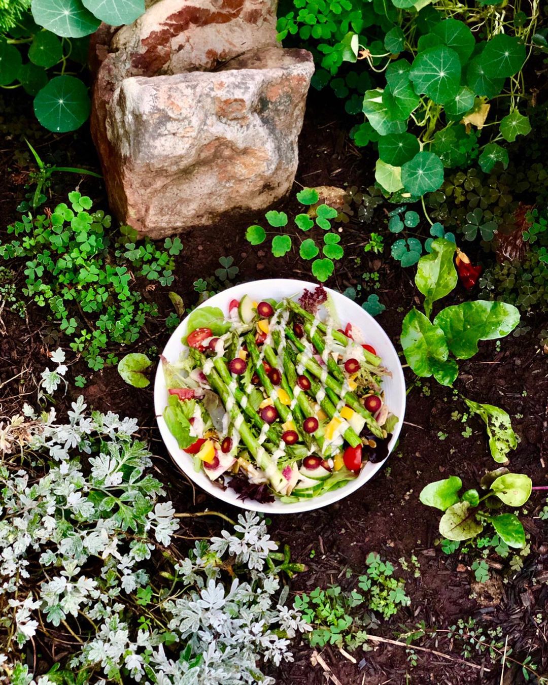 Vegan Nutrient-Rich Salad