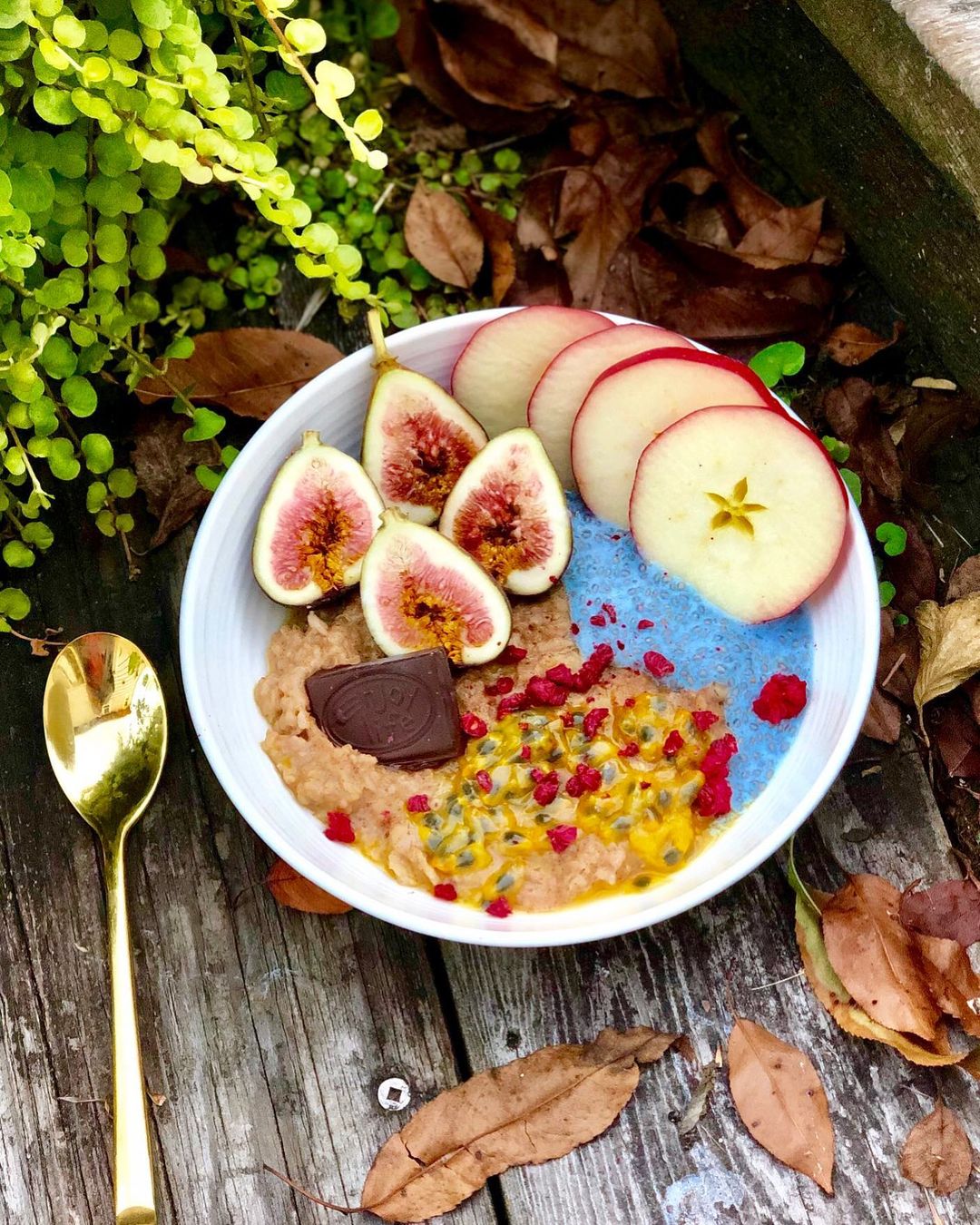 Vegan Oatmeal and Chia Breakfast Bowl