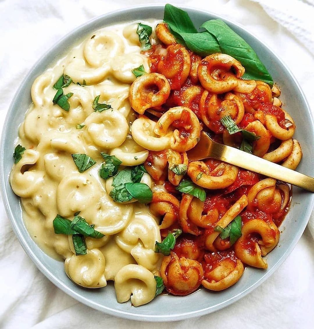 Vegan Cream Sauce for Pasta