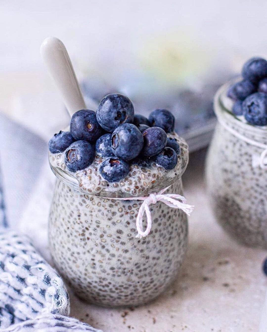Blueberry Chia Pudding with Three Ingredients