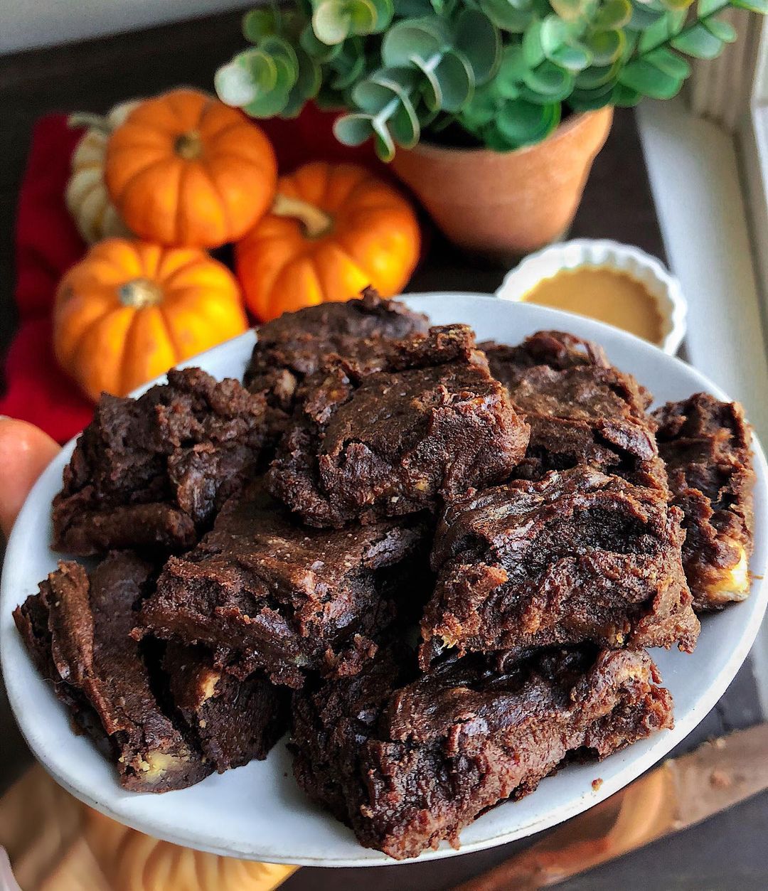 Fudgy Plant-Based Pumpkin Brownie Bites