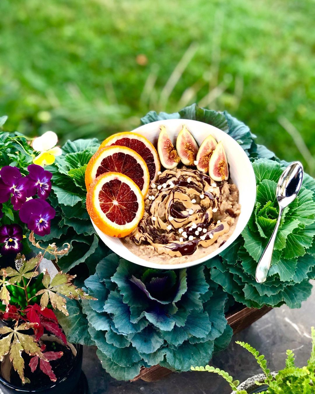 Spiced Oatmeal Bowl with Dates and Fruits