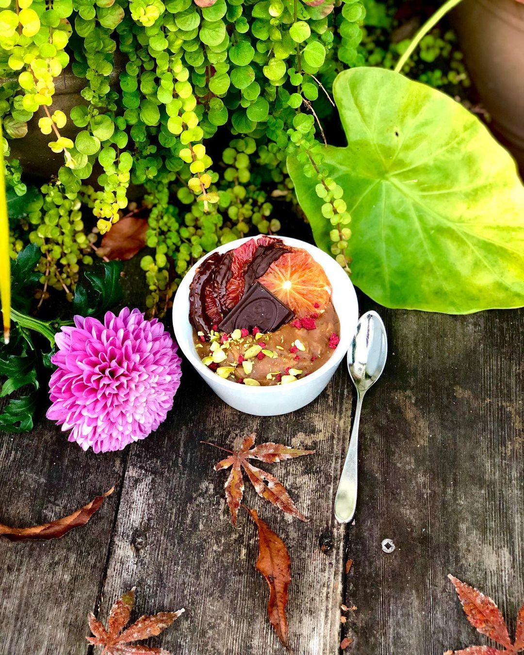 Vibrant Autumn Spiced Oatmeal Bowl