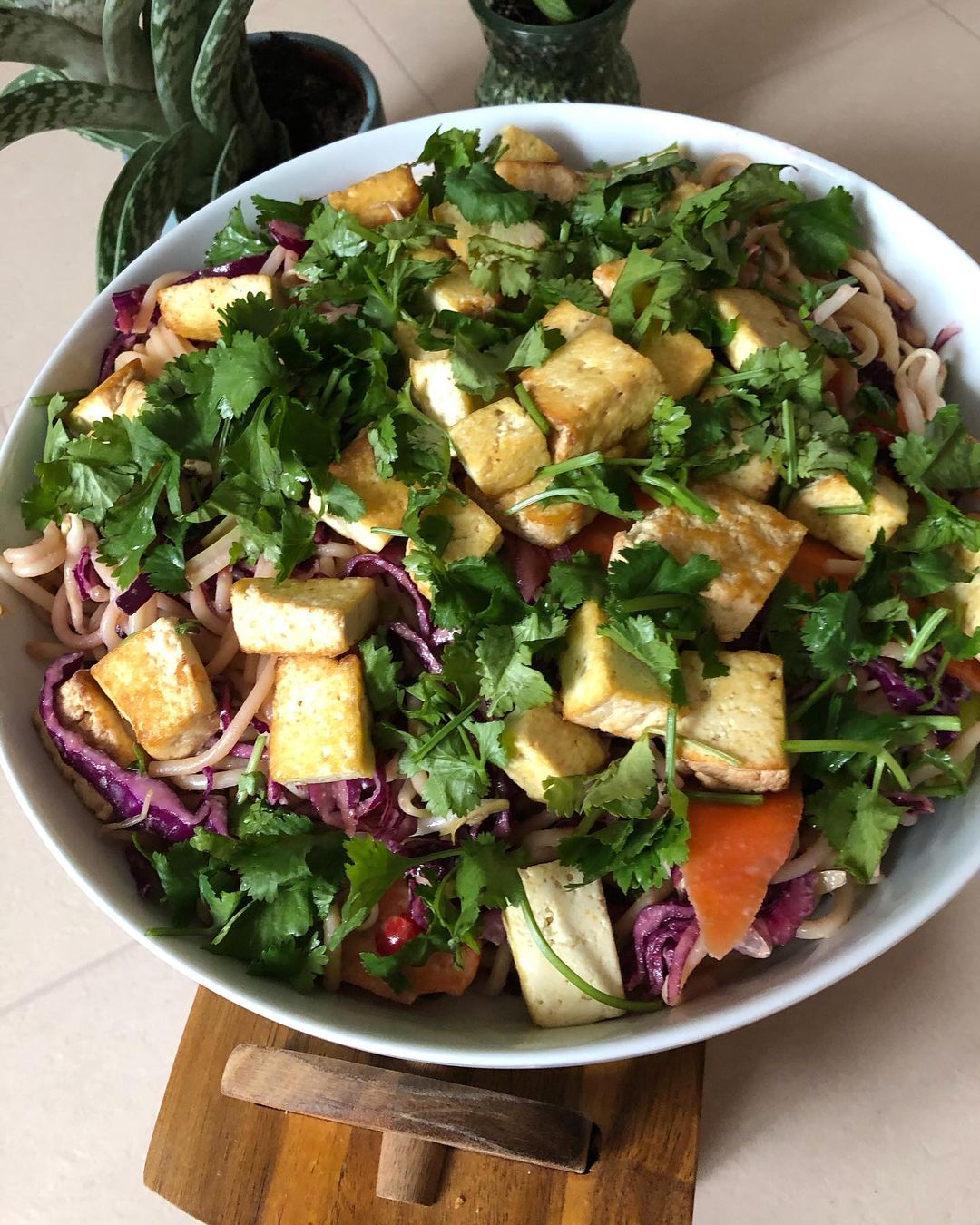 Spicy Asian Tofu Salad