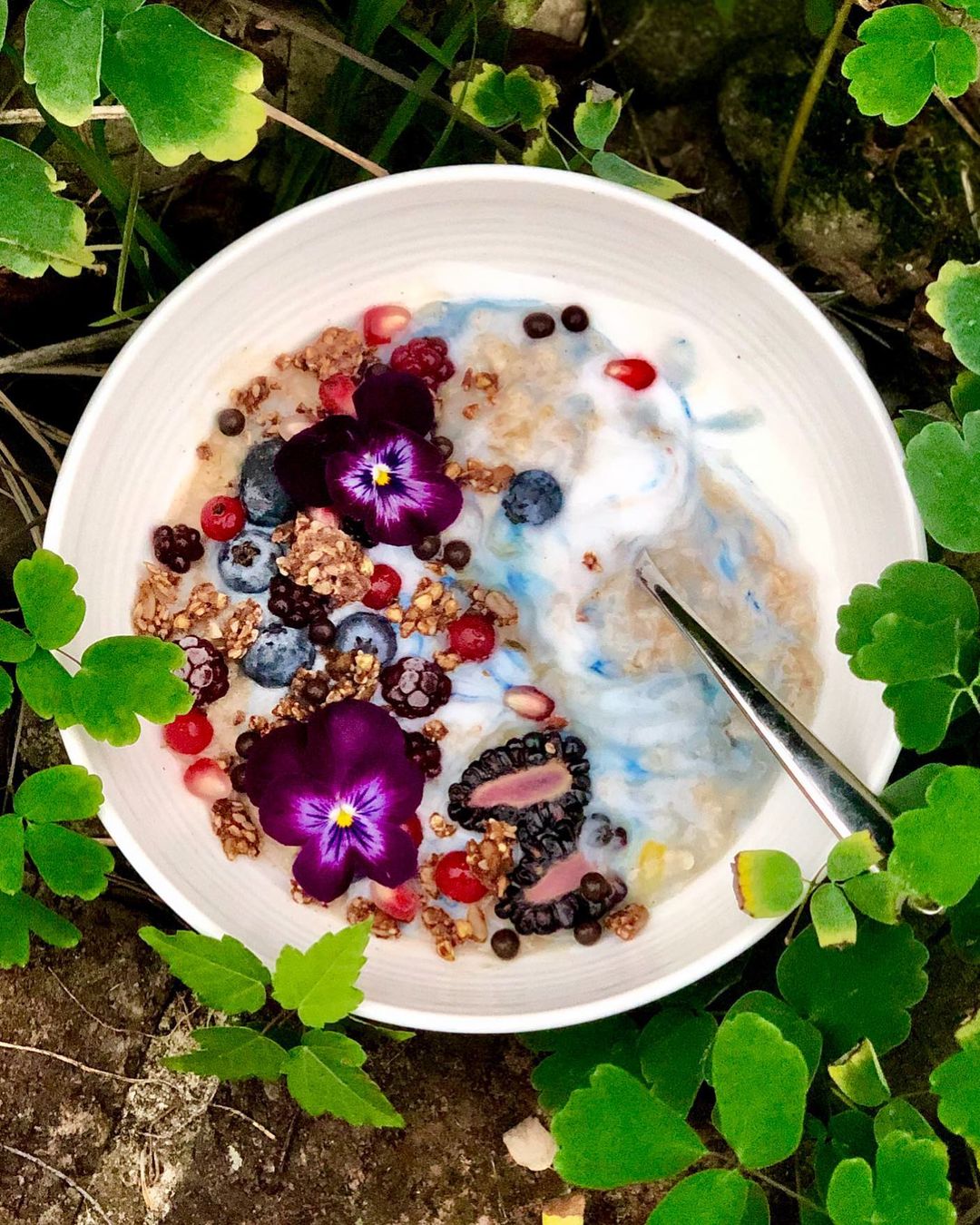 Oatmeal Coconut Yogurt Bowl
